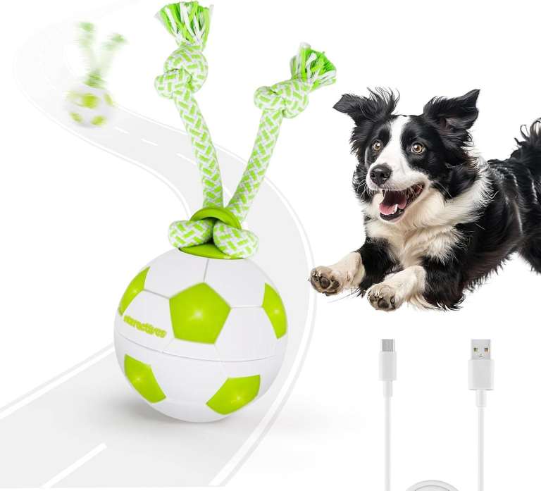 new in packaging - ALL FOR PAWS Interactive Dog Ball Toys