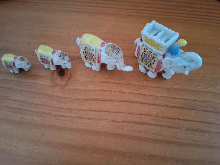 Wade elephant train