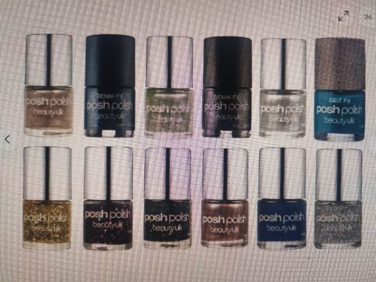 125 Posh Polish Beauty UK Nail Polish – Various Colours, New