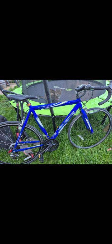 Carrera Mountain Bike stunt bike bmx 