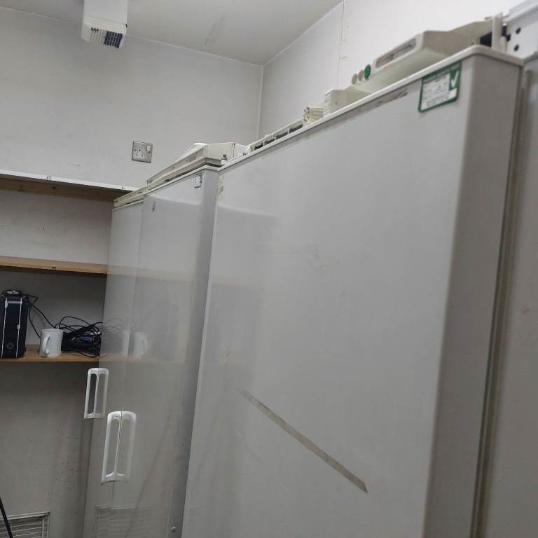 Tall Electrolux Fridge Free Standing