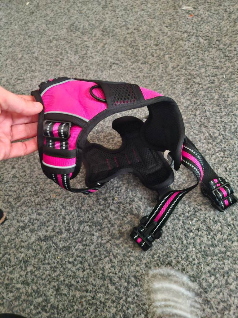 Pink dog harness brand new
