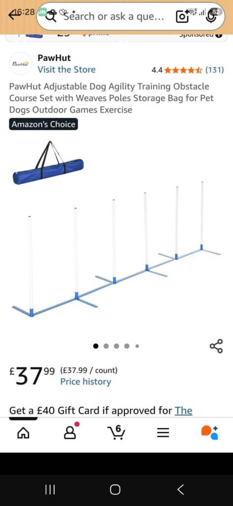 Dog Agility 
