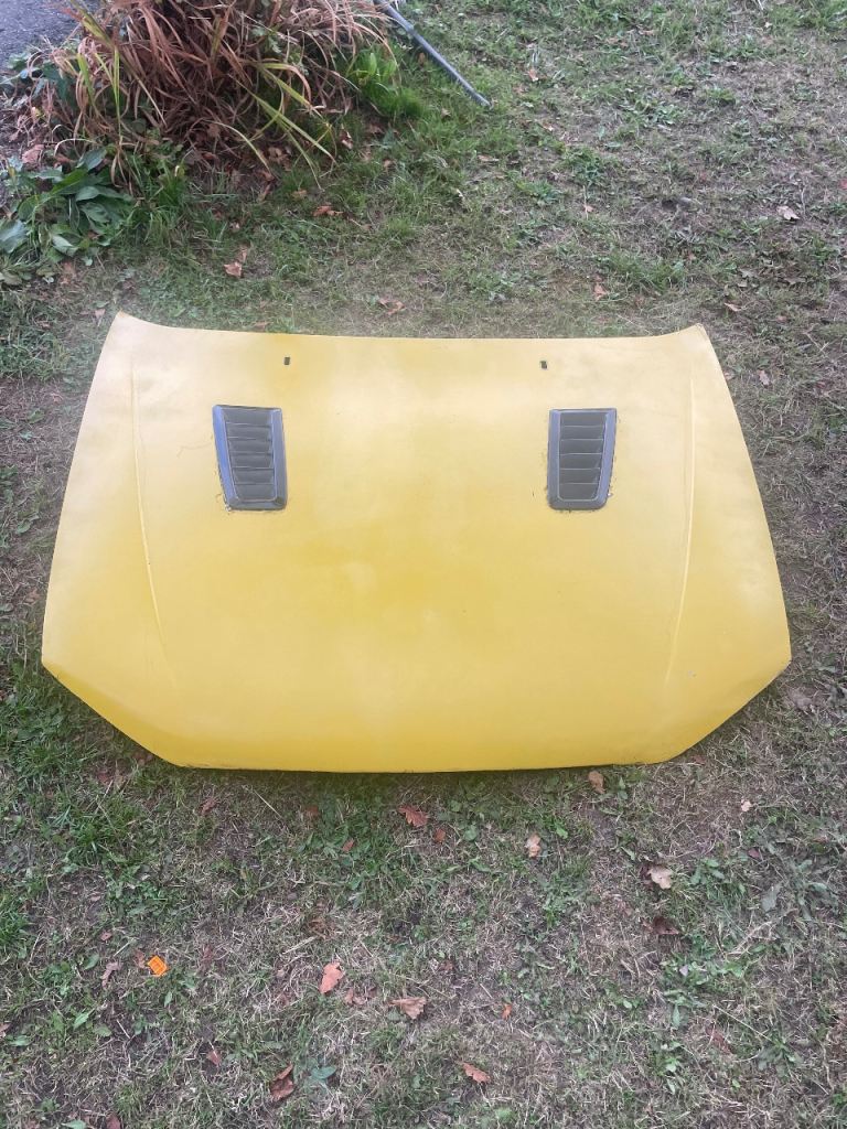 Ford fiesta mk5 bad boy style bonnet