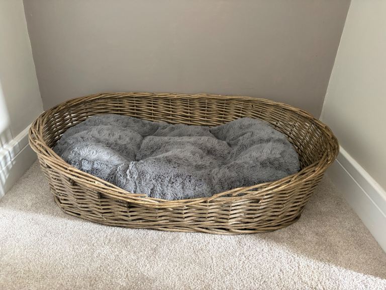 Wicker Dog Bed
