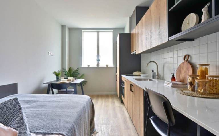 Studio Apartment- Available 01/01/26