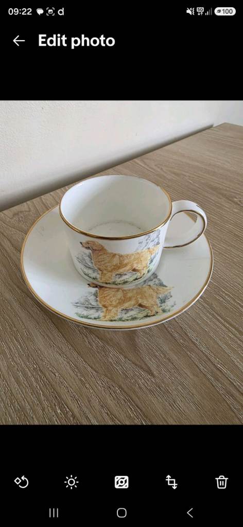 Lovely Bone China Cup and Saucer Set with Dog Design
