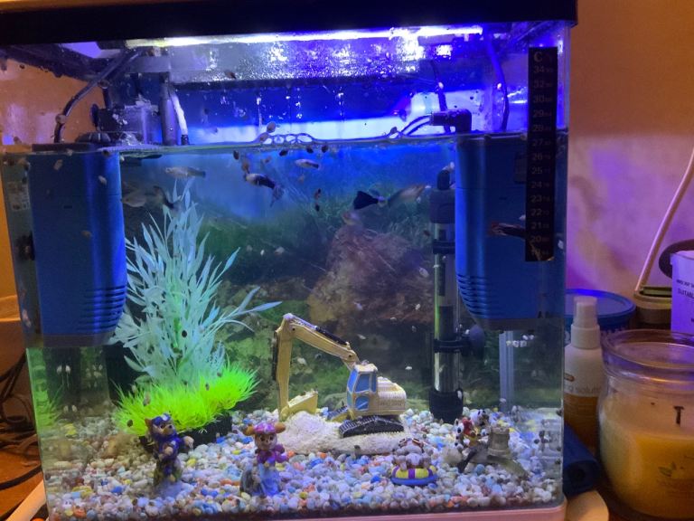 Full tropical fish tank set up bargain £200