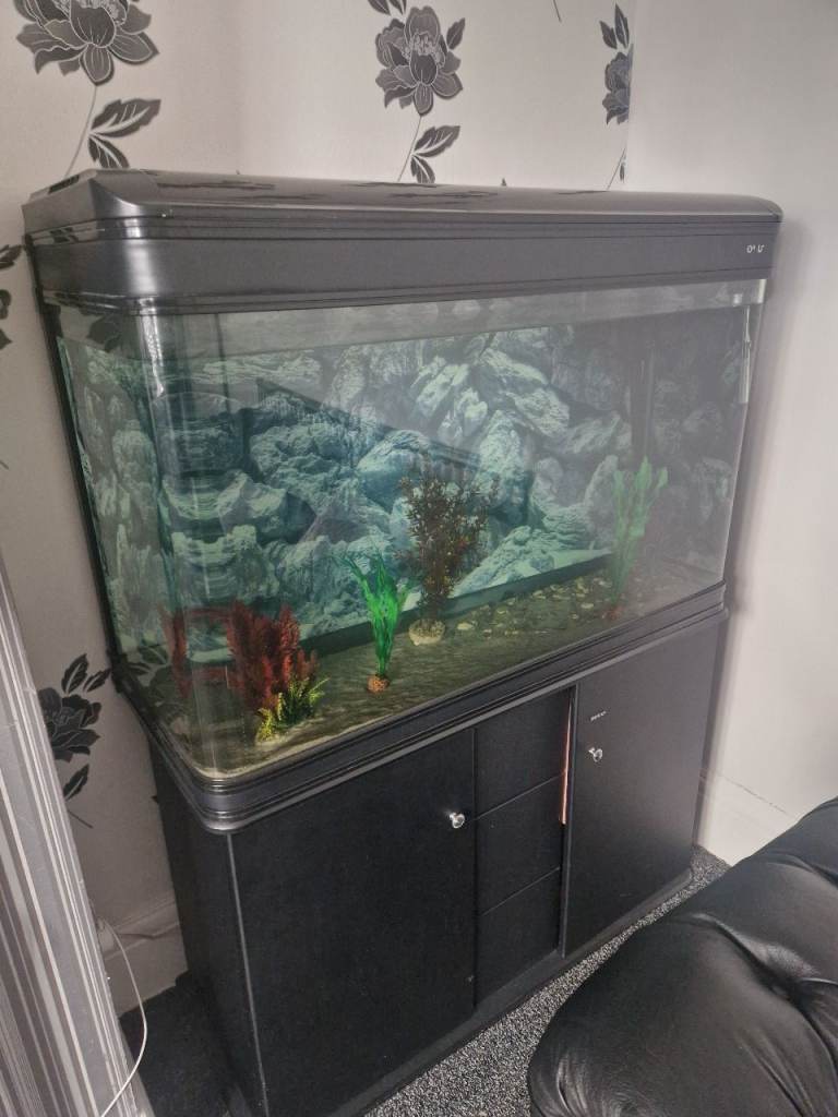 FISH TANK FOR SALE