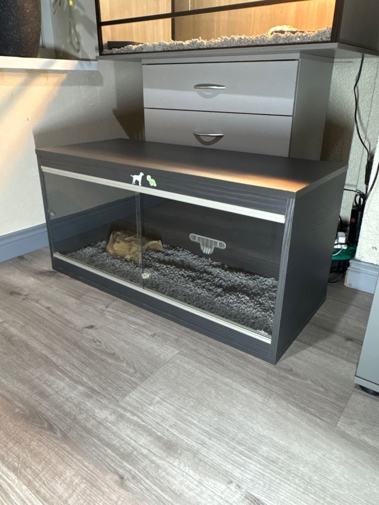 Reptile Vivarium Without Lights