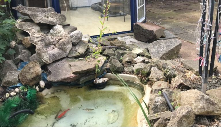 Pond and stones 