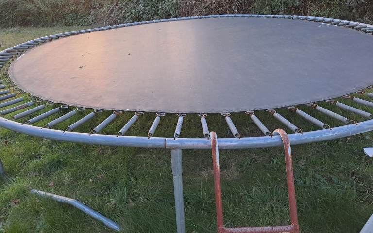 Trampoline and ladder