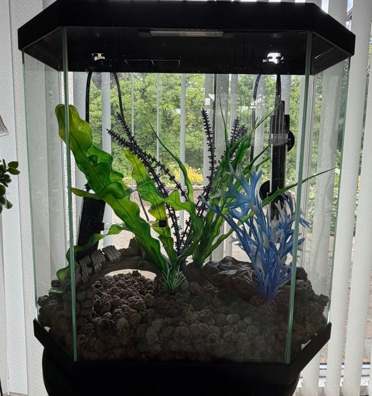 2 Tropical Fish Tanks with stand for one plus accessories