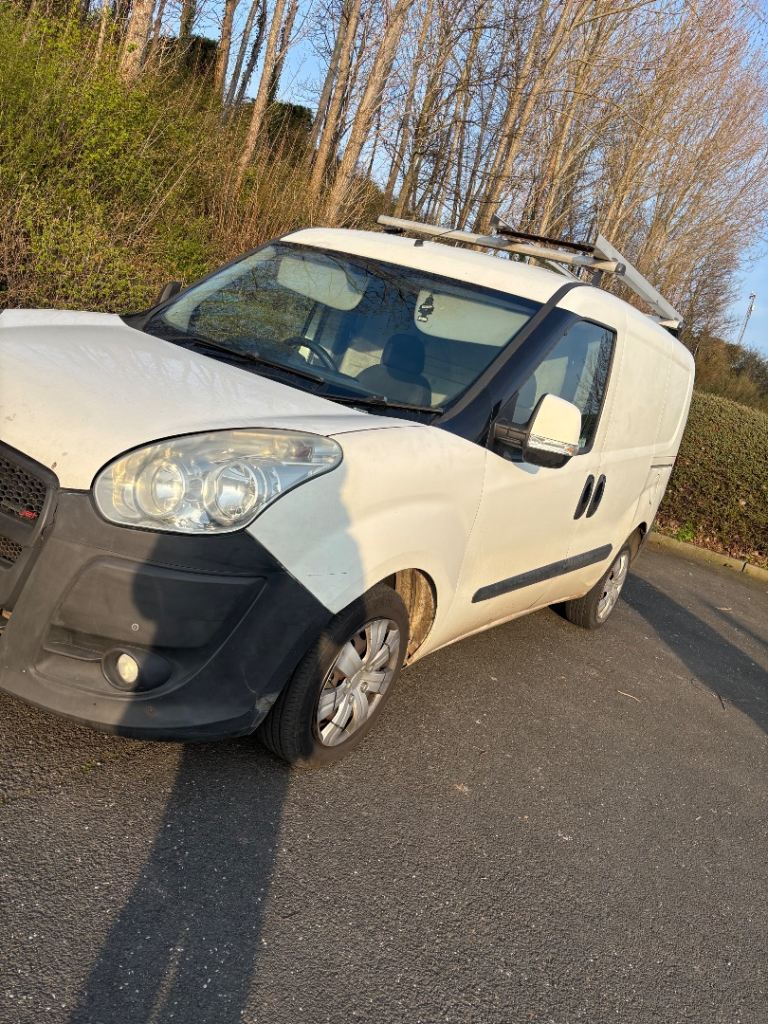 2010 Fiat doblo
