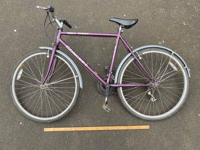 Gentleman’s Bicycle