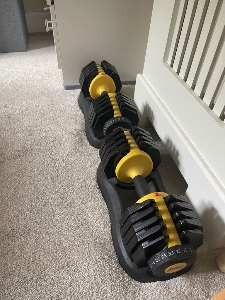2 x 25kg As new everlast dumbbells