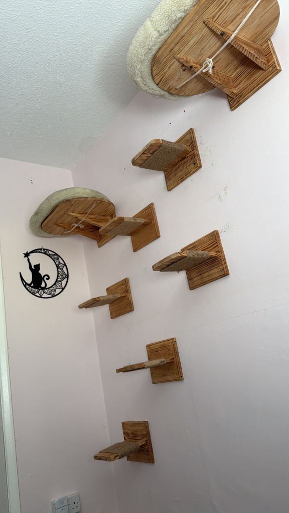 Solid Pine Cat Wall Shelves & Bed Set