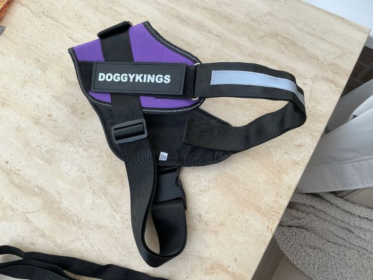 Doggiekings XXL Collar 
