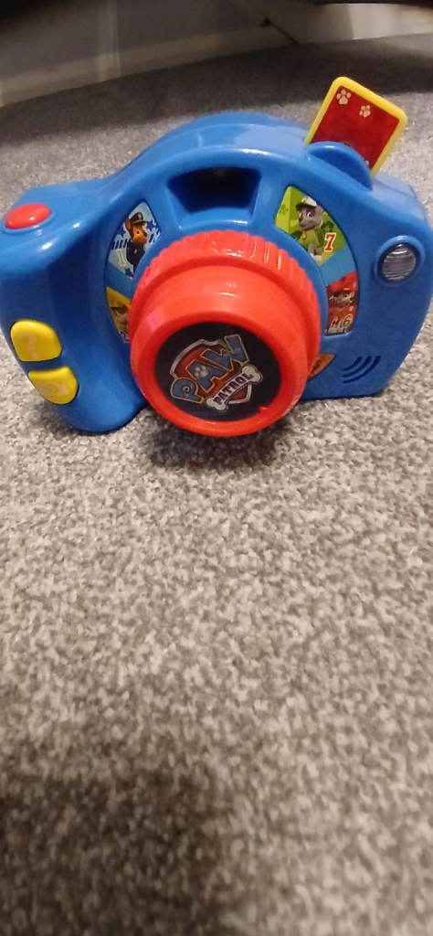 Paw patrol camera