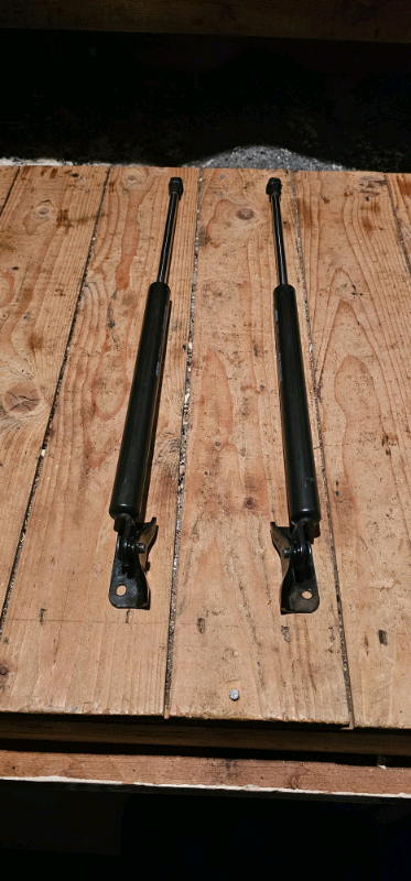 Brand New Geniune Tailgate/Boot Struts