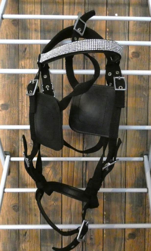 Gorgeous driving harness