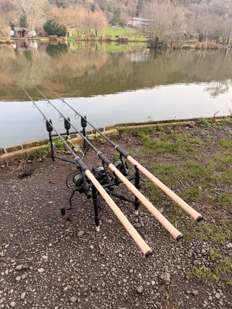 Nash carp set up