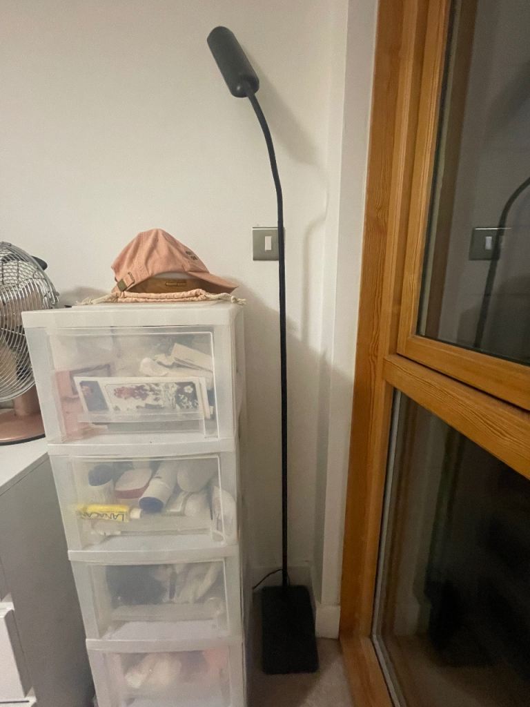 Black Standing LED Floor Lamp