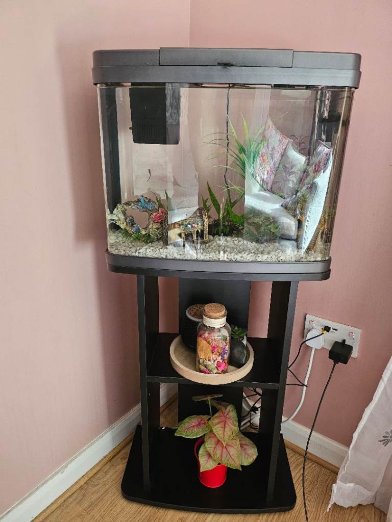 40L Fish Panorama Aquarium with stand with 2 fish for Sale