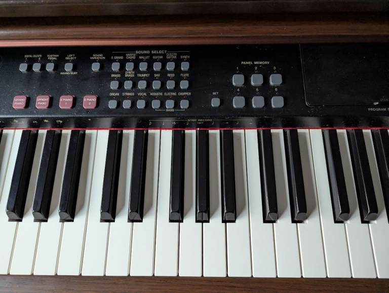 Technics - Digital Burnt Mahogany Piano - PX-PR350(5)