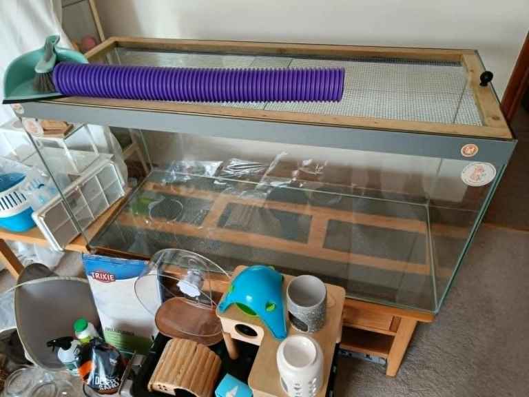 Glass tank and accessories for ethical hamster set up 122cmx50cmx60cm