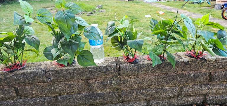 Artificial Plants for fish tank