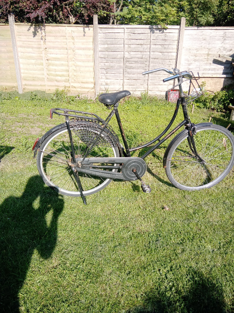 Dutch type pedal bikes 