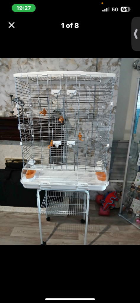 Bird cage 