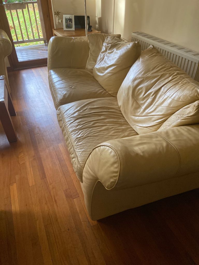 Two Leather Sofas
