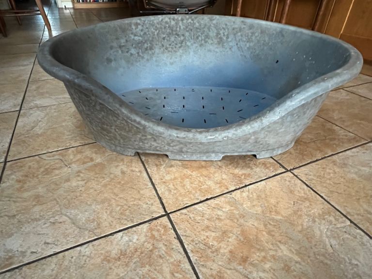 Dog bed - FREE