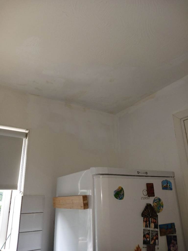 Painter Decoration Roofing Carpenter Wallpaper   Drywall repair Plastering Brick Cleaner Locksmith