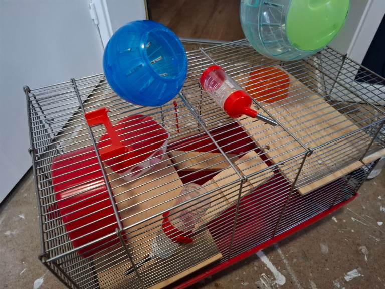 Hamster type cage