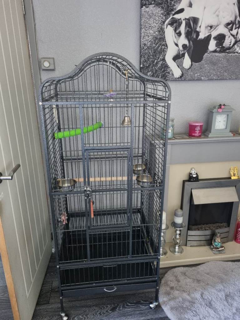 Parrot cage 