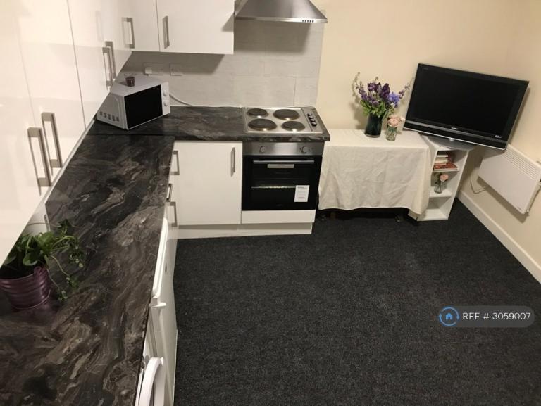 1 bedroom flat in Crookes Valley Road, Sheffield, S10 (1 bed) (#3059007)