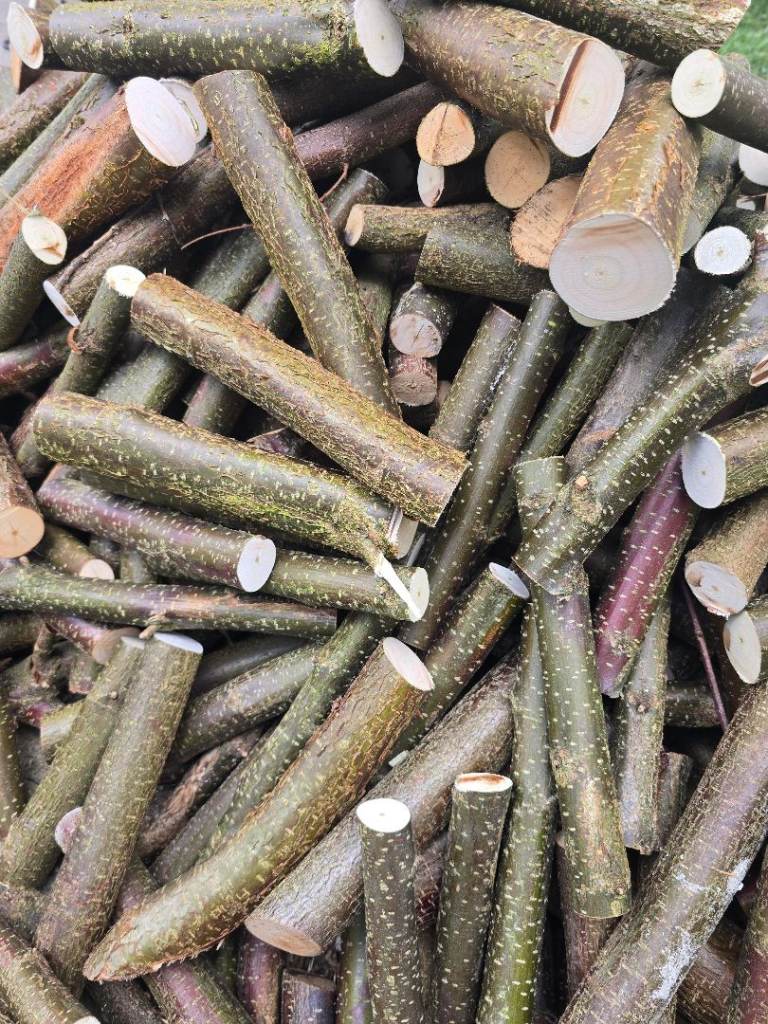 Firewood