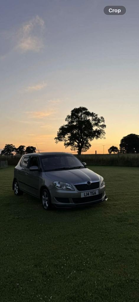SKODA FABIA Tsi se, 5 door, beige