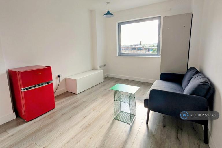 Studio flat in Ingram Street, Leeds, LS11 (#2720173)