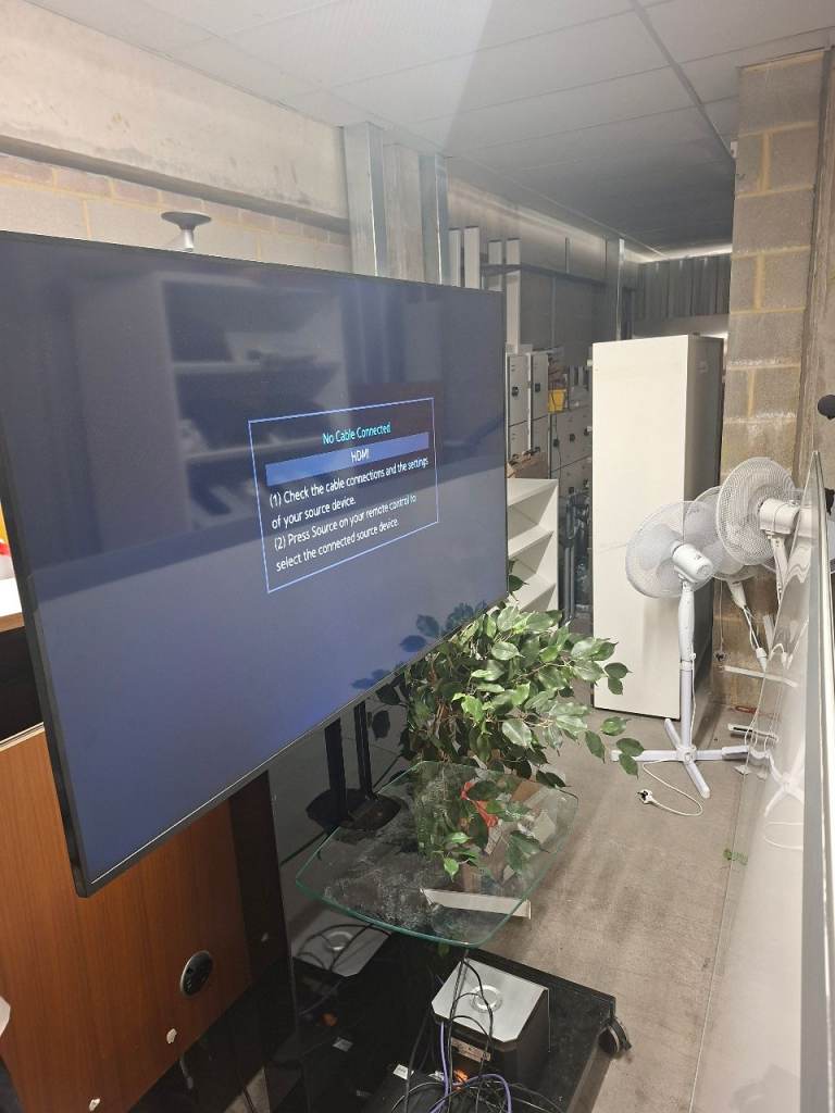 55 inch Samsung Flat Screen TV with Wheeled Stand 