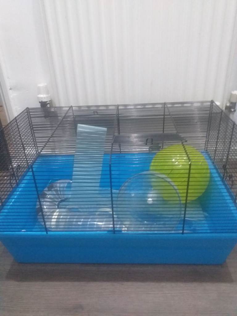 Hamster cage 