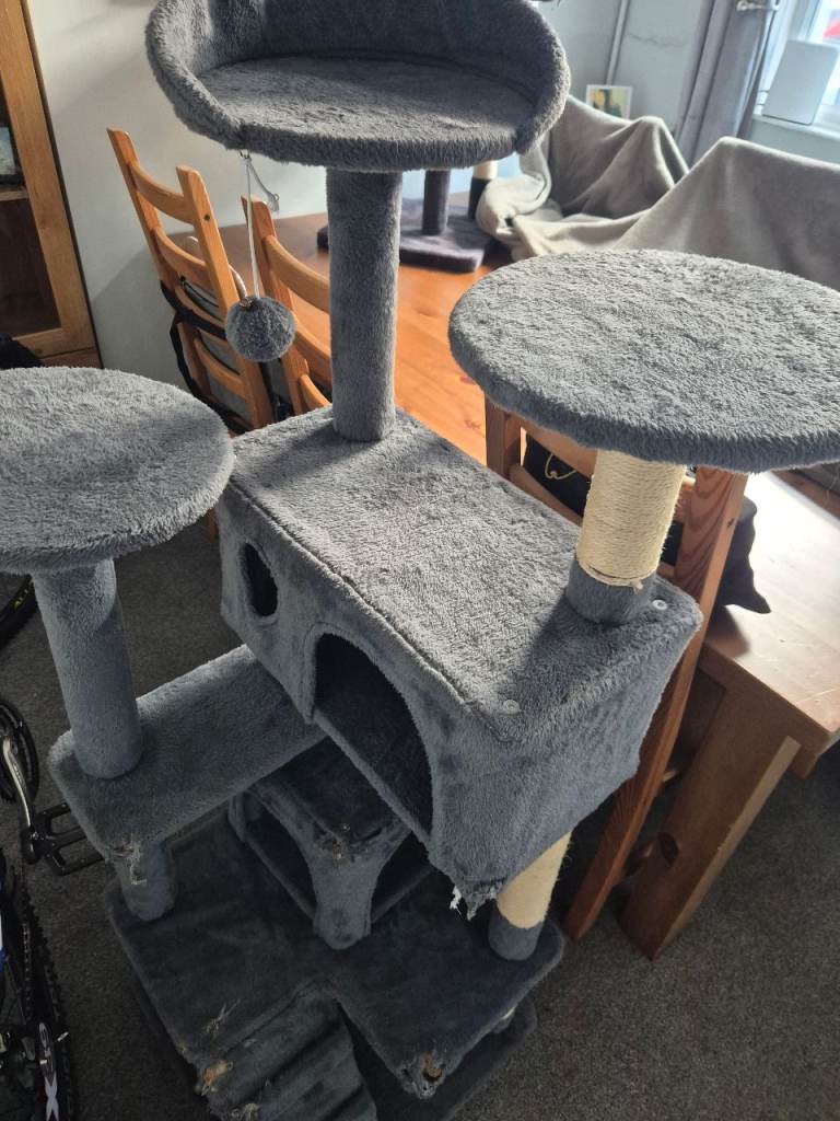 Free to collect cat scratching tower