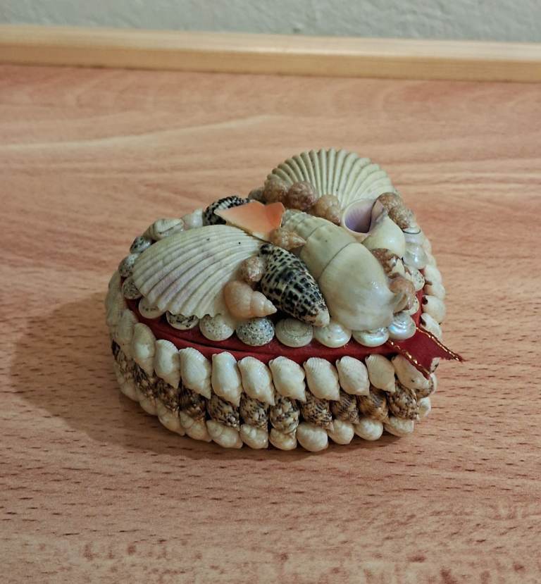 Small Shell Box