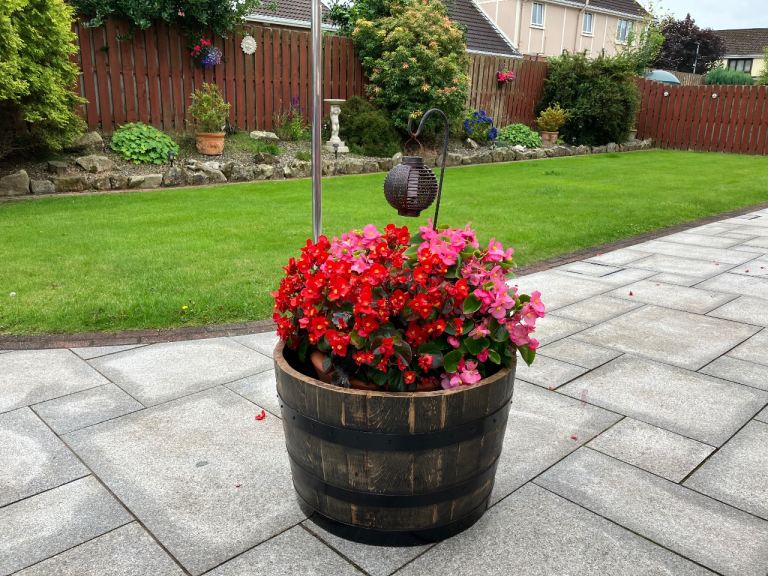 Barrel planters