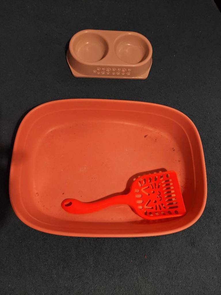 Cat litter box and extras