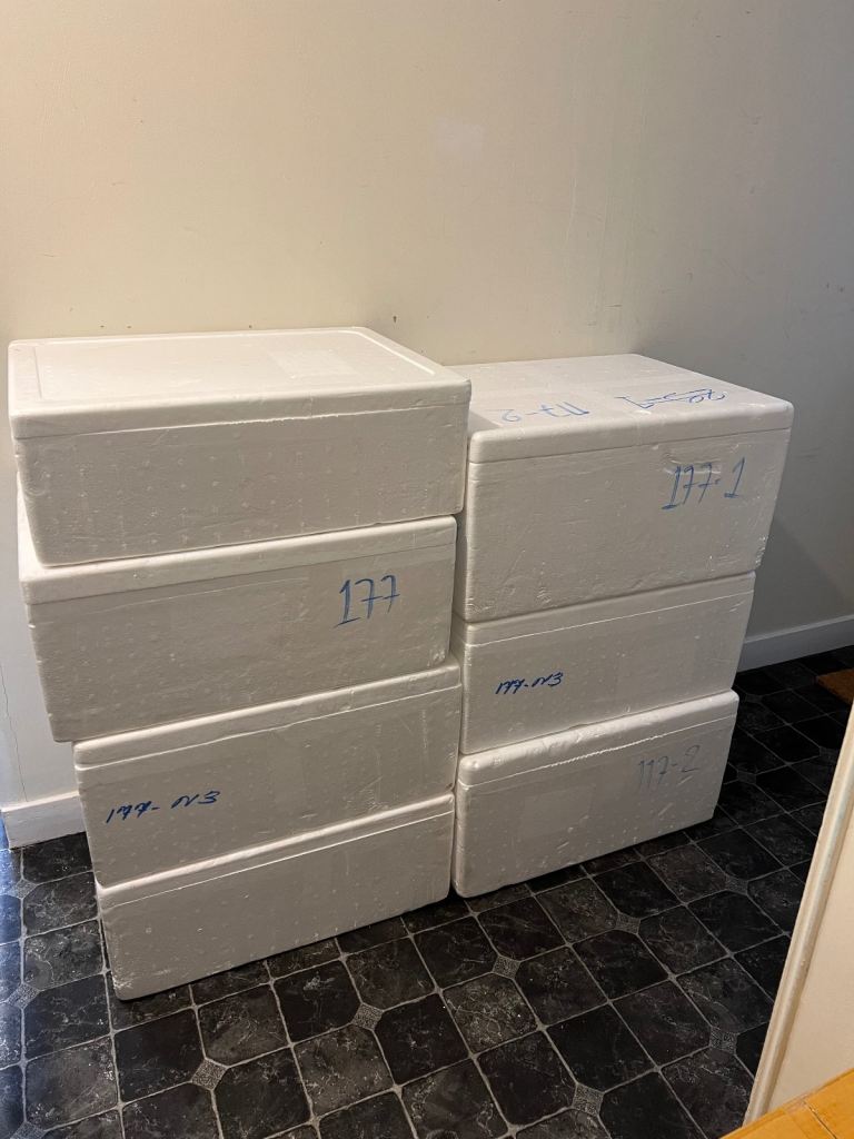 Free single use polystyrene boxes 