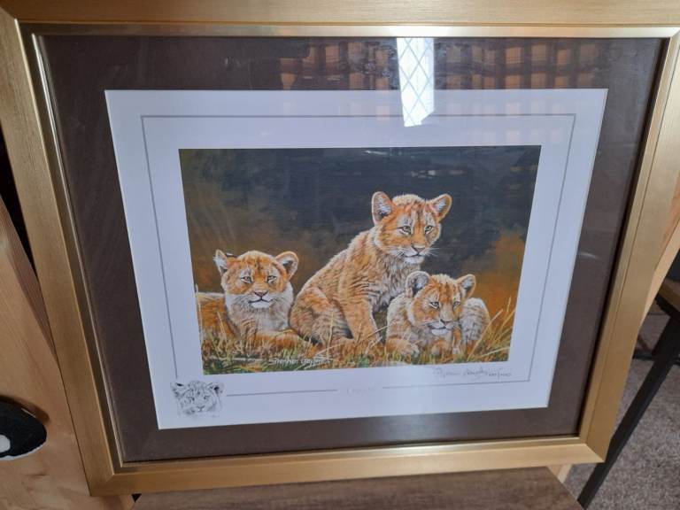 Stephen Gayford Triplets